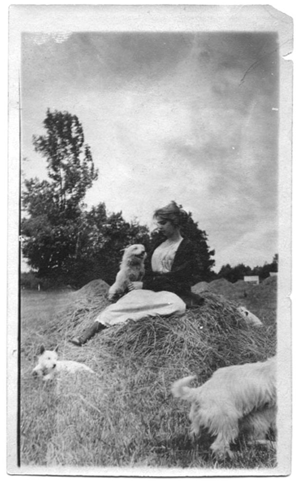 Unidentified woman with several dogs, no date