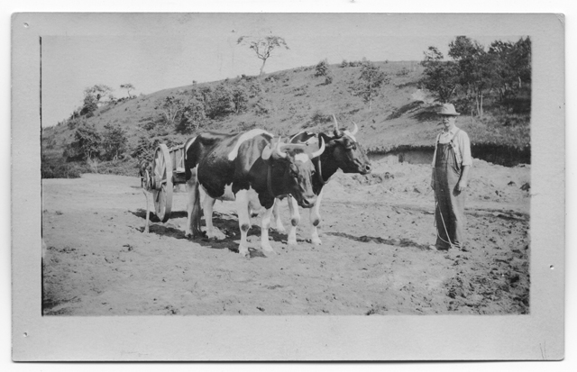 Michael McGrath and his team at the Bailey Playground, 1925.