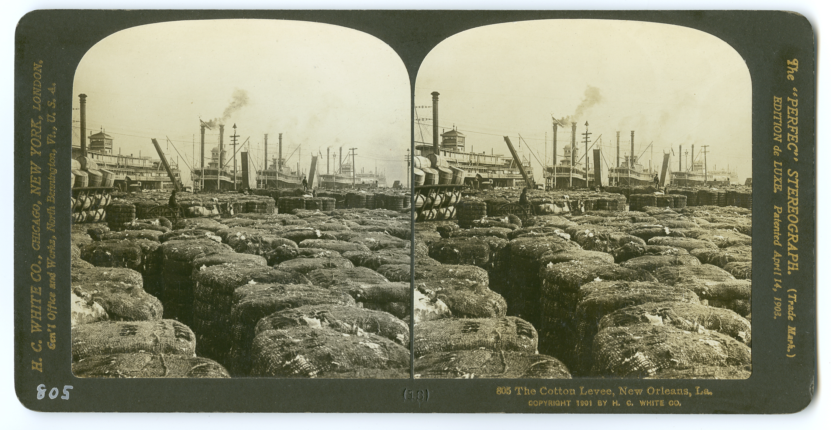 805 The Cotton Levee, New Orleans, LA., 1901