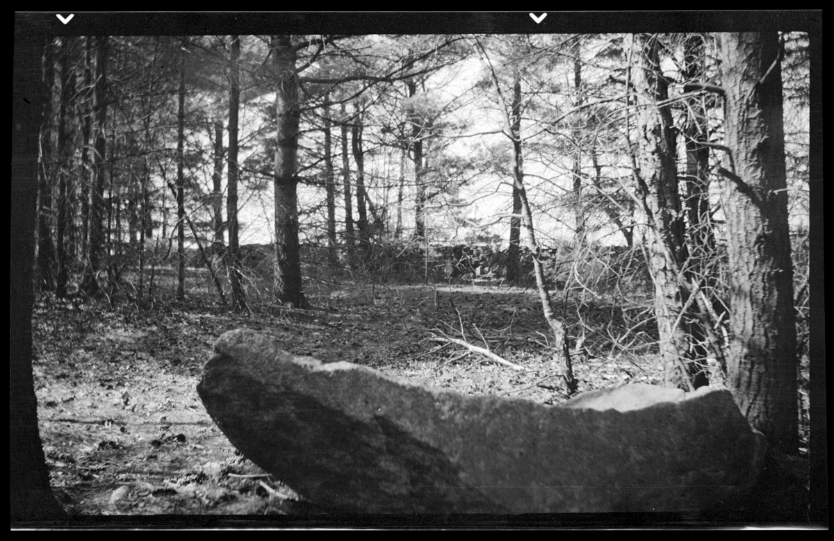 Rock formation in the woods, circa 1925