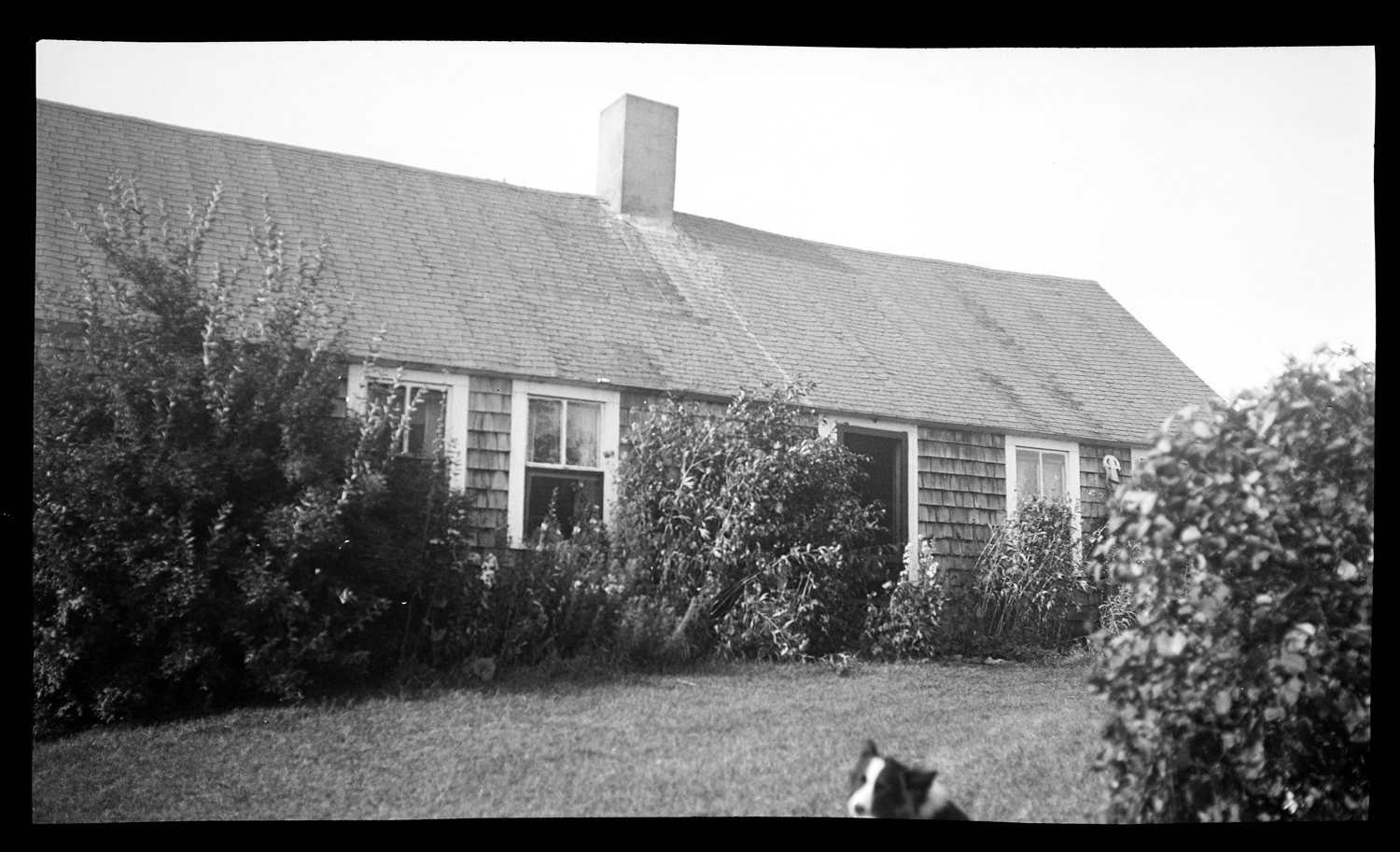 Lucas House, 159 Pembroke Street, August 1935