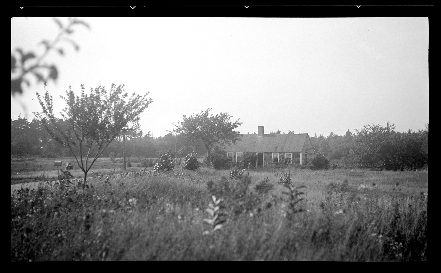 Lucas House, 159 Pembroke Street, August 1935. 