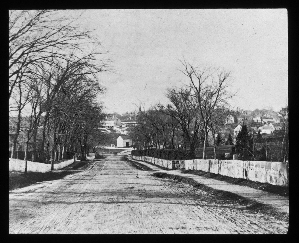 Main Street, looking north down Thomas' Hill, 1876